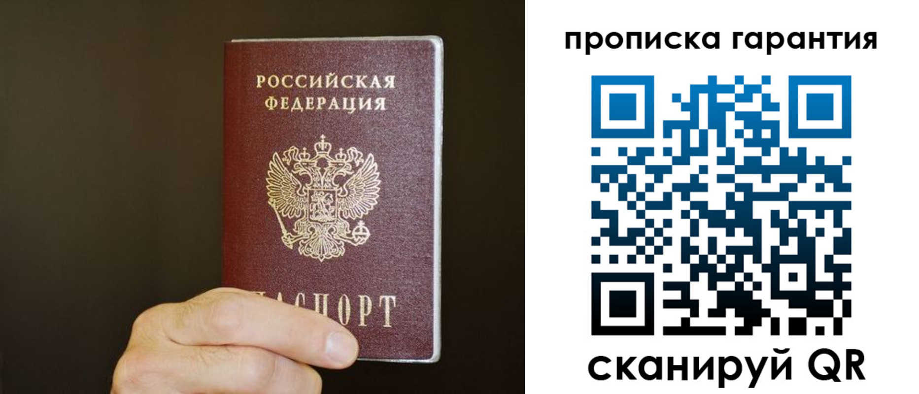 найти адрес прописки в Светлогорске