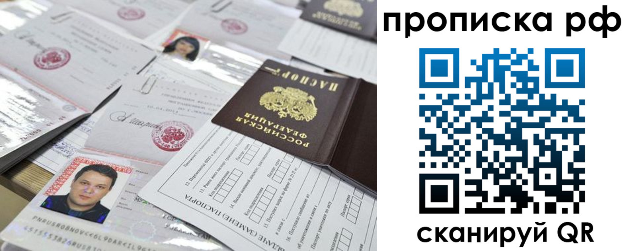 прописка 2025 в Светлогорске