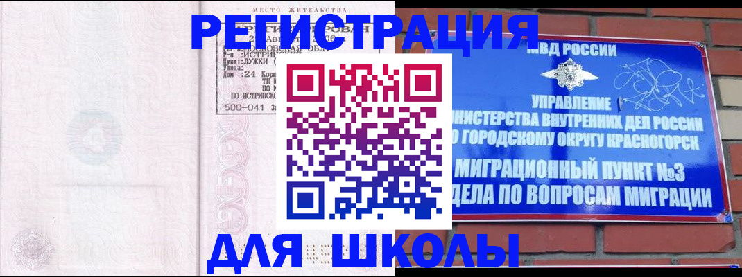 временная регистрация надежно в Светлогорске